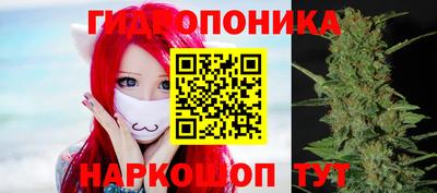 прущие крисы Будённовск