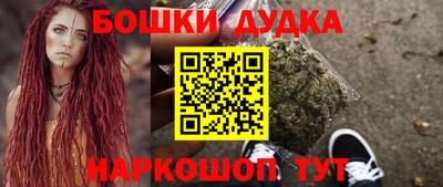 прущие крисы Будённовск