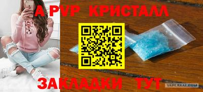 прущие крисы Будённовск