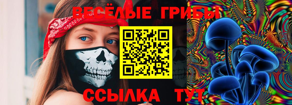 Псилоцибиновые грибы Psilocybe  Вход с VPN  Новочеркасск  Псилоцибиновые грибы MAGIC MUSHROOMS 